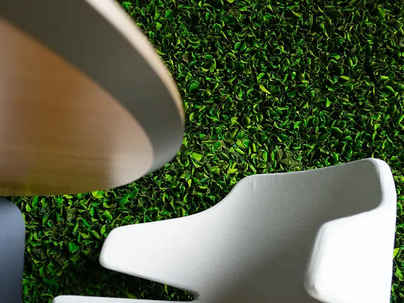 Presentation Media - Greenmood velvet leaf