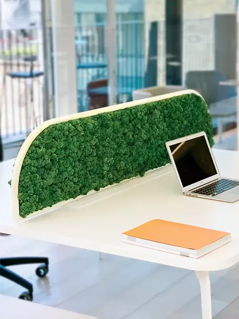 Greenmood G-Desk - Presentation Media
