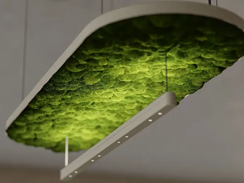 Greenmood Hoverlight - Presentation Media