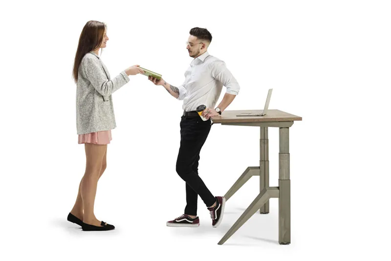 Lavoro Design Five - Presentation Media