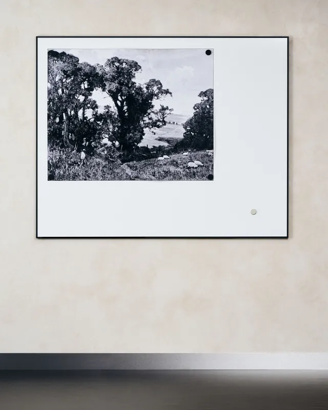 Lintex ONE - Presentation Media