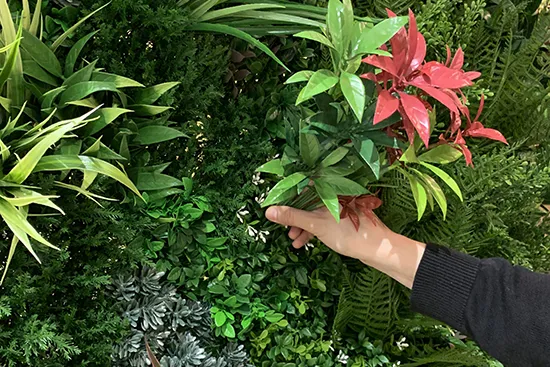 Vistafolia colour and texture boxes - Presentation Media