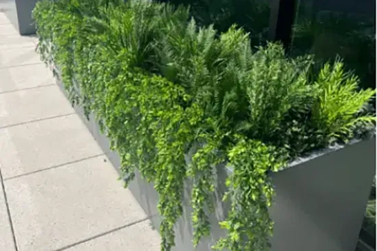 Vistafolia loose artificial plants - Presentation Media