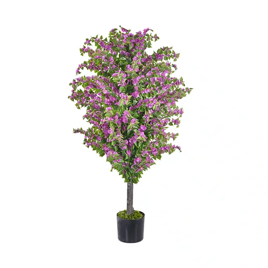 Vistafolia Amalfi Bloom Bougainvillea - Presentation Media