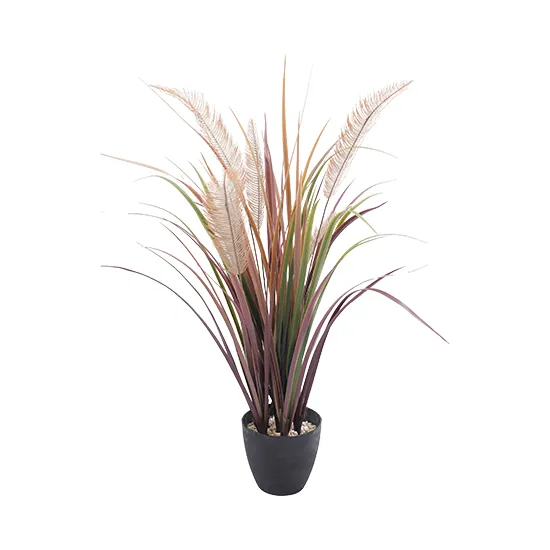 Vistafolia Grass Plant - Presentation Media