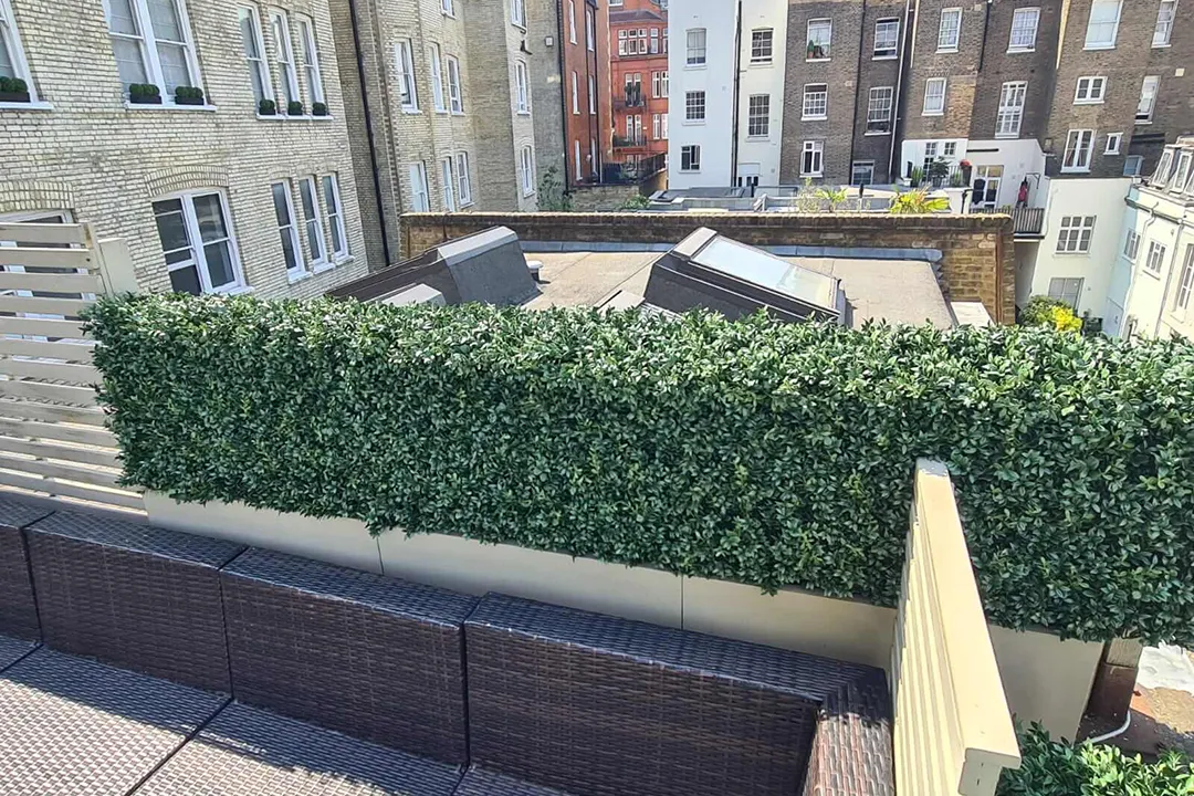 Vistafolia Artificial Box Hedge - Presentation Media