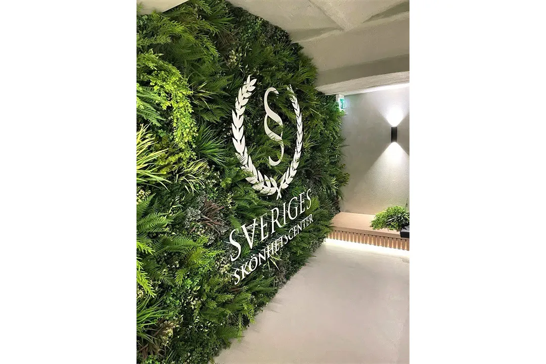 Vistafolia Lush Green Texture Box - Presentation Media