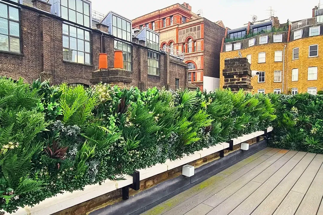 Vistafolia Lush Green Texture Box - Presentation Media