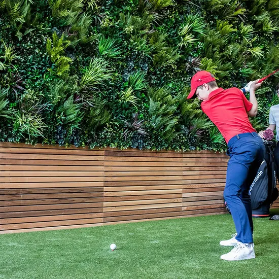 Vistafolia Lush Green Texture Box - Presentation Media