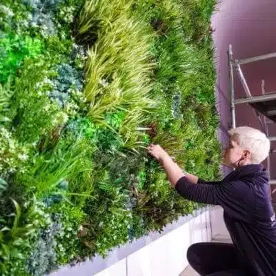 Vistafolia Green Wall Fixing System - Presentation Media