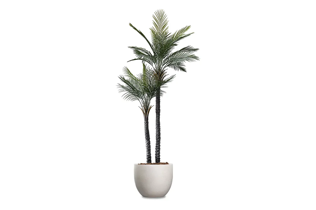 Vistafolia Palma Gemela Artificial Palm Tree - Presentation Media