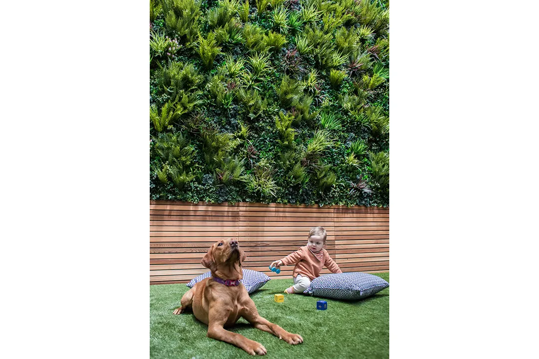 Vistafolia Signature Panel - Presentation Media